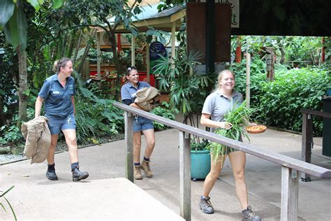 Volunteers – World Wildlife Fund.